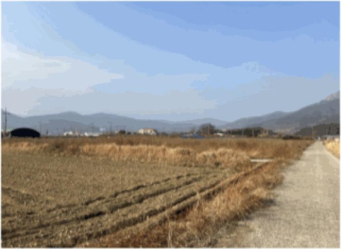 전남 순천시 낙안면 답 경매 물건 사진 6 · 2025타경52454