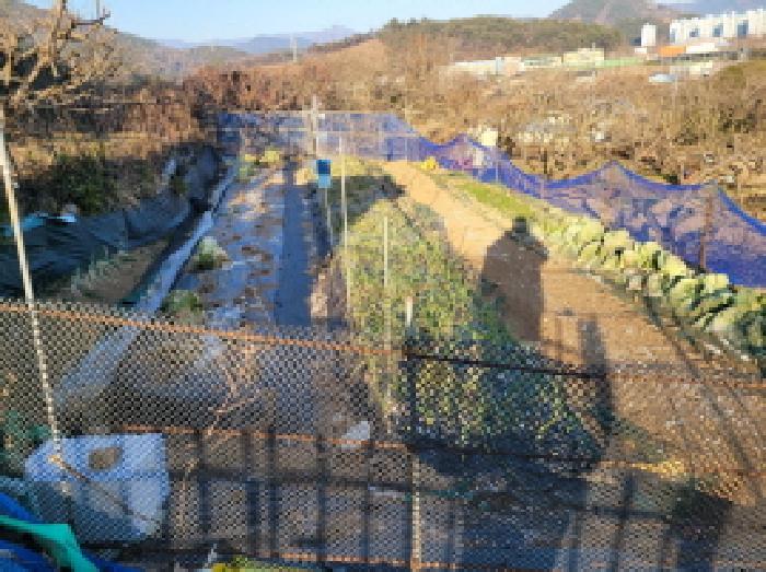 전남 광양시 봉강면 전 경매 물건 사진 4 · 2025타경52468