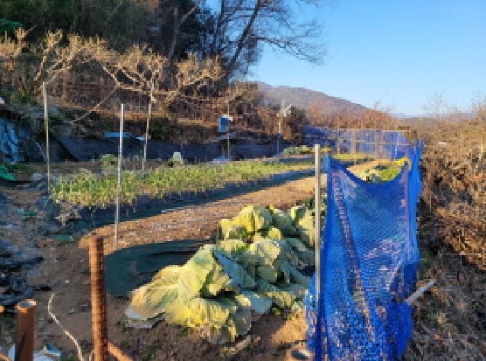 전남 광양시 봉강면 전 경매 물건 사진 5 · 2025타경52468
