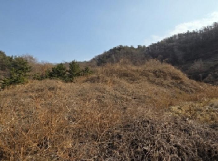 전남 순천시 해룡면 전 경매 물건 사진 4 · 2025타경52485