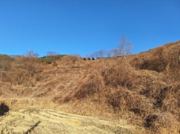 전남 순천시 송광면 답 경매 물건 사진 4 · 2025타경52489