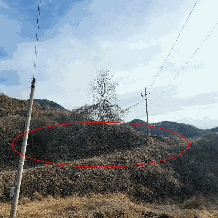 전남 순천시 송광면 답 경매 물건 사진 5 · 2025타경52489