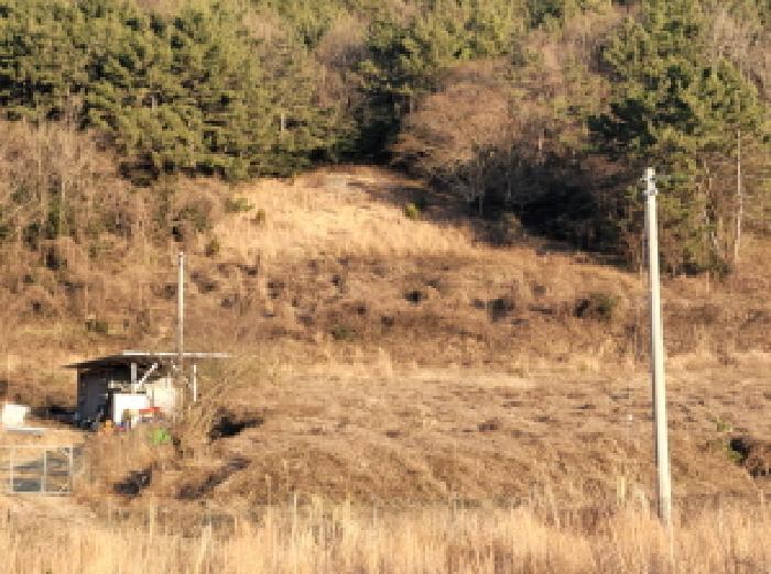 전남 여수시 화정면 전 경매 물건 사진 4 · 2025타경52492
