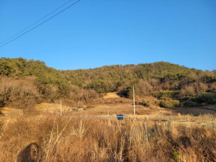 전남 여수시 화정면 전 경매 물건 사진