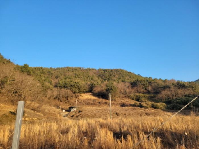 전남 여수시 화정면 전 경매 물건 사진 2 · 2025타경52492