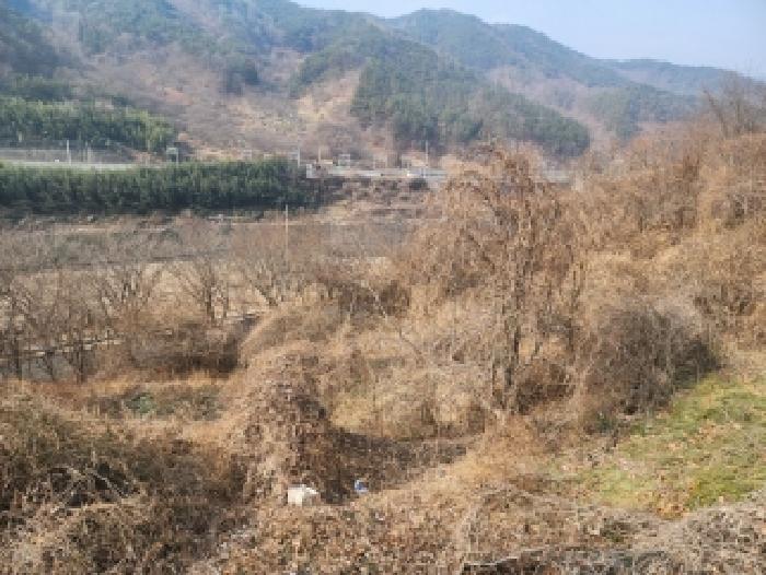 전남 구례군 구례읍 전 경매 물건 사진