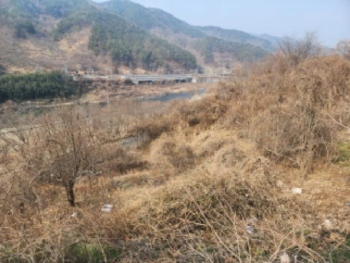 전남 구례군 구례읍 전 경매 물건 사진 2 · 2025타경52499