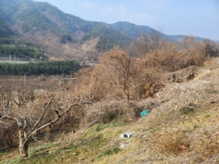 전남 구례군 구례읍 전 경매 물건 사진 4 · 2025타경52499