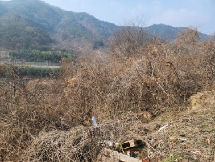 전남 구례군 구례읍 전 경매 물건 사진 5 · 2025타경52499