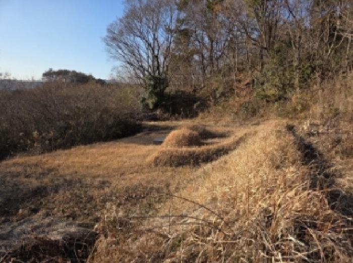 전남 순천시 별량면 임야 경매 물건 사진