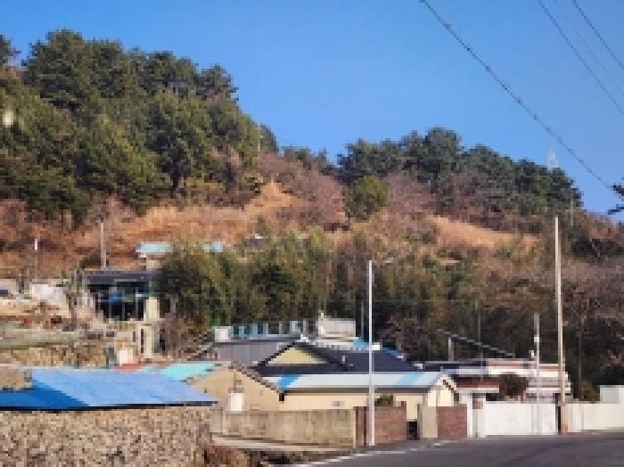 전남 여수시 남면 전답 경매 물건 사진