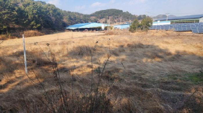 전남 고흥군 도덕면 답 경매 물건 사진