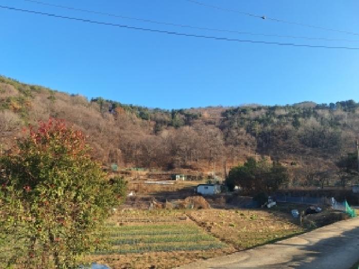 전남 구례군 문척면 전 경매 물건 사진