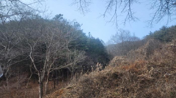 전남 구례군 문척면 전 경매 물건 사진 5 · 2025타경52543