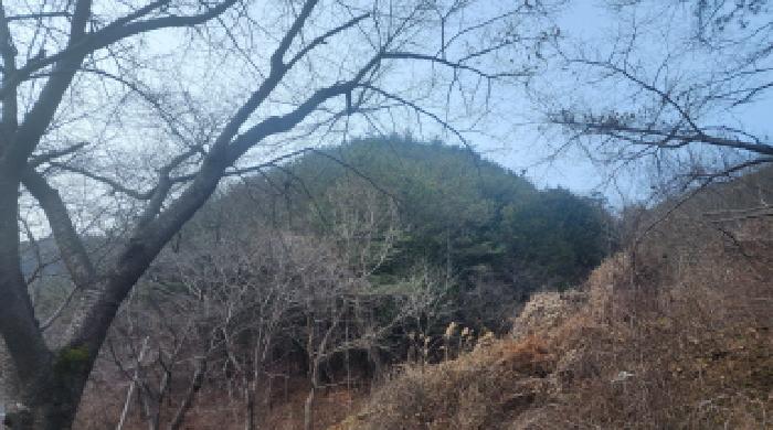 전남 구례군 문척면 전 경매 물건 사진 6 · 2025타경52543