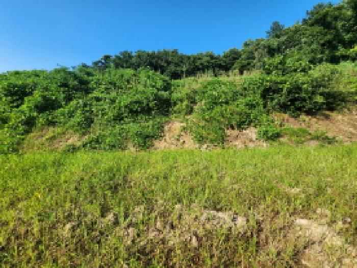 전남 순천시 해룡면 전 경매 물건 사진