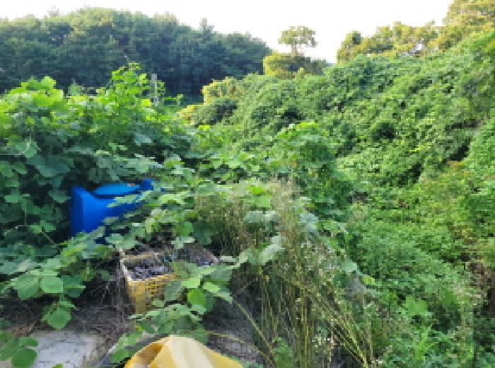 전남 고흥군 남양면 전 경매 물건 사진 5 · 2025타경557