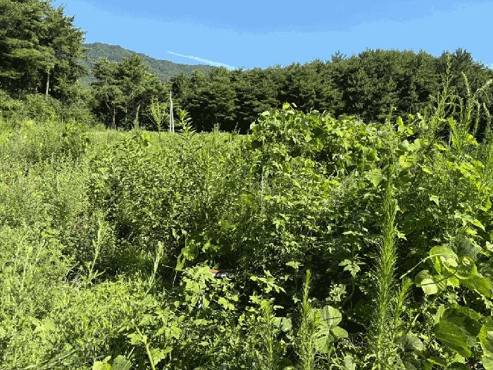 전남 고흥군 남양면 전 경매 물건 사진