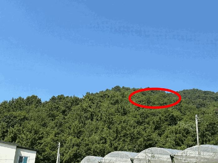 전남 고흥군 남양면 전 경매 물건 사진 6 · 2025타경557