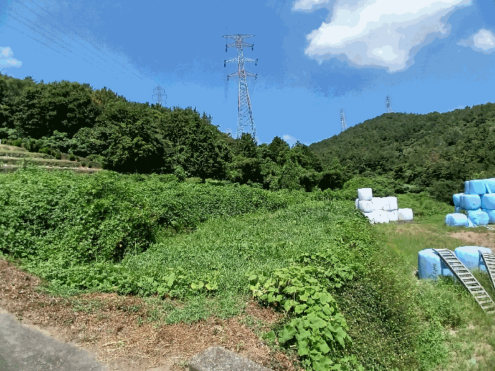 전남 여수시 율촌면 전 경매 물건 사진 5 · 2025타경573