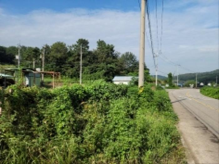 전남 보성군 벌교읍 임야 경매 물건 사진 2 · 2025타경593