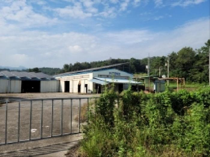 전남 보성군 벌교읍 임야 경매 물건 사진 3 · 2025타경593