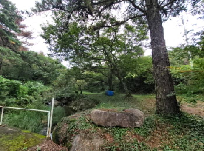 전남 광양시 옥룡면 동물및식물관련시설 경매 물건 사진 4 · 2025타경624