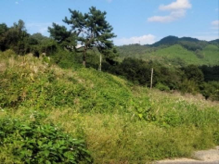 전남 보성군 조성면 답 경매 물건 사진 5 · 2025타경627