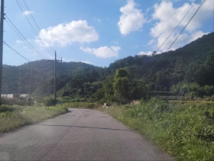 전남 보성군 조성면 답 경매 물건 사진