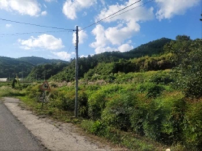 전남 보성군 조성면 답 경매 물건 사진 2 · 2025타경627