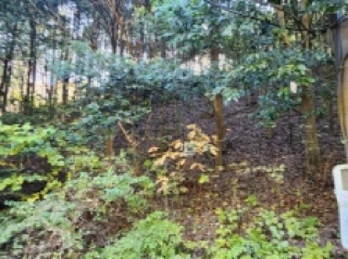 전남 순천시 승주읍 창고시설 경매 물건 사진 6 · 2025타경628