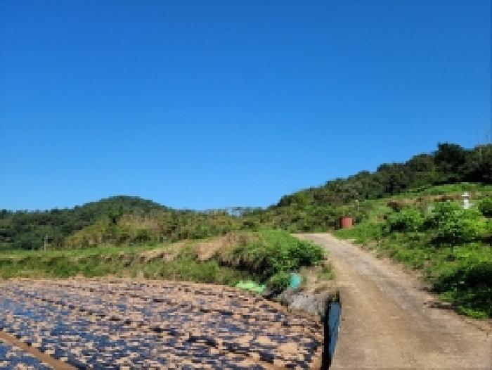 전남 고흥군 두원면 전 경매 물건 사진