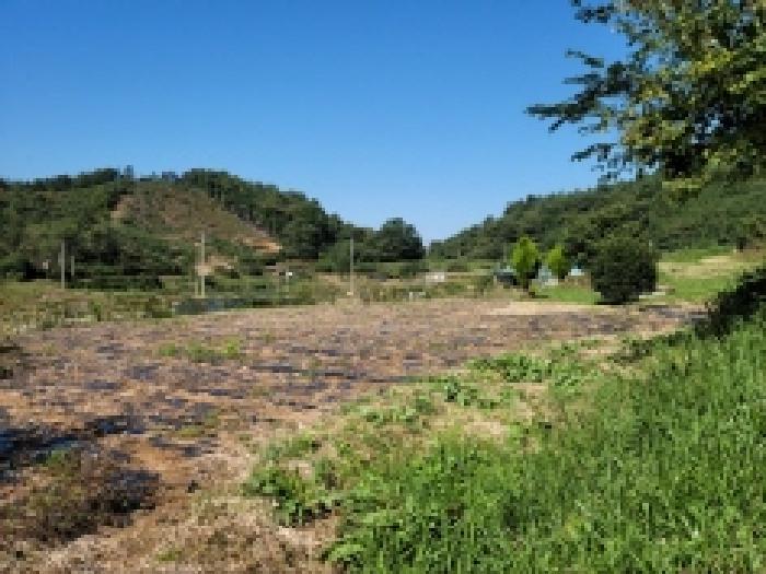 전남 고흥군 두원면 전 경매 물건 사진 2 · 2025타경629