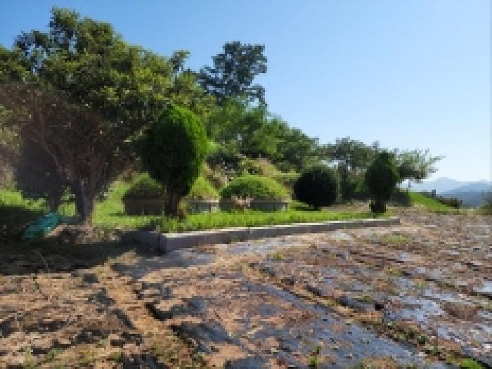 전남 고흥군 두원면 전 경매 물건 사진 5 · 2025타경629