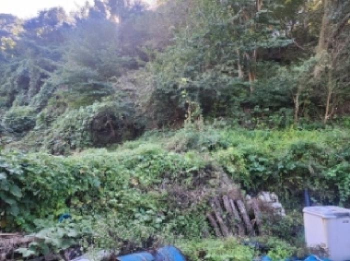 전남 구례군 간전면 전 경매 물건 사진