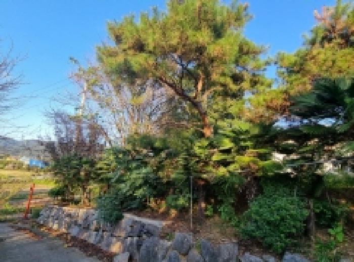 전남 순천시 낙안면 전 경매 물건 사진 4 · 2025타경637