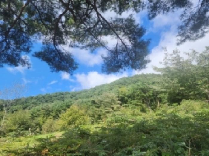 전남 구례군 토지면 전 경매 물건 사진 3 · 2025타경645