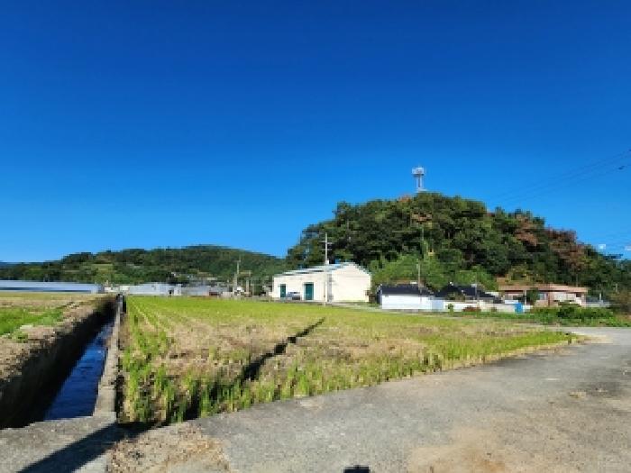 전남 순천시 별량면 답 경매 물건 사진 3 · 2025타경658