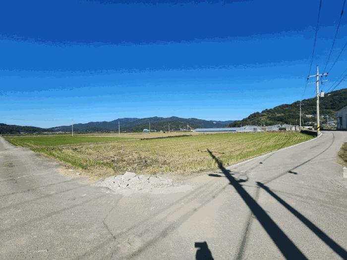 전남 순천시 별량면 답 경매 물건 사진 4 · 2025타경658