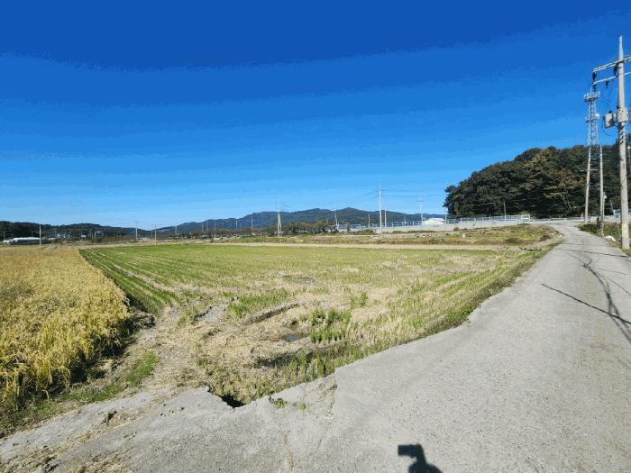 전남 순천시 별량면 답 경매 물건 사진 6 · 2025타경658