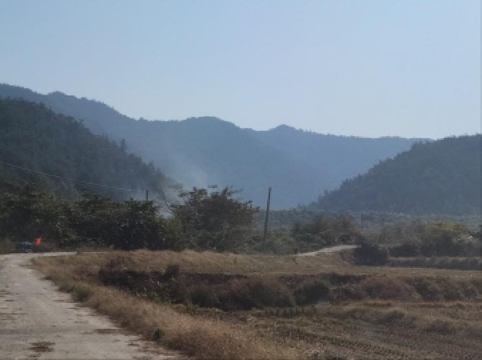 전남 고흥군 점암면 임야 경매 물건 사진