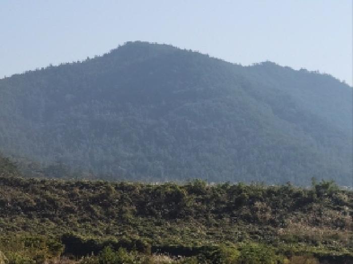 전남 고흥군 점암면 임야 경매 물건 사진 2 · 2025타경669