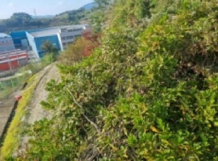 전남 광양시 태인동 전 경매 물건 사진 4 · 2025타경671