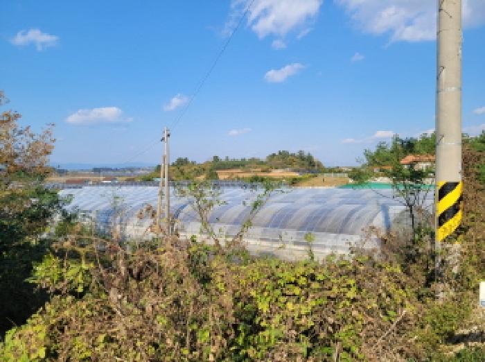 전남 고흥군 도덕면 전 경매 물건 사진