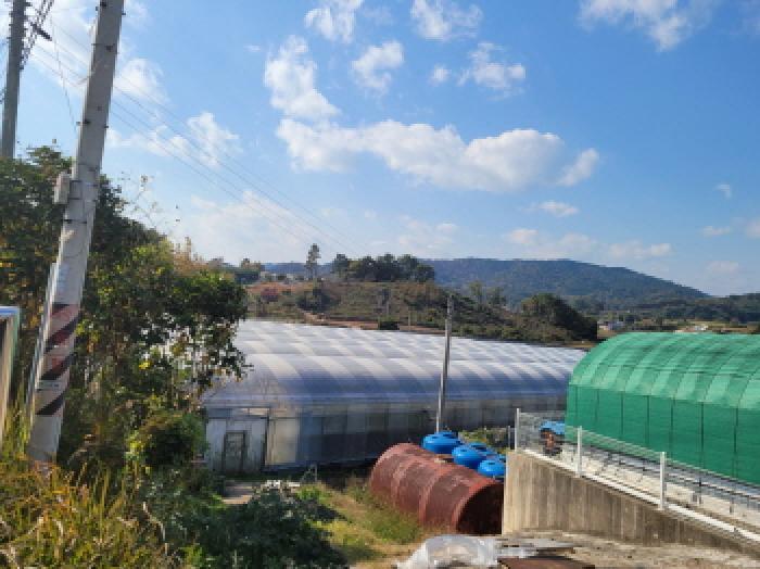 전남 고흥군 도덕면 전 경매 물건 사진 3 · 2025타경675