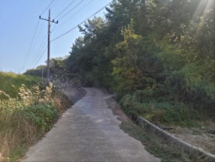 전남 고흥군 도덕면 도로 경매 물건 사진
