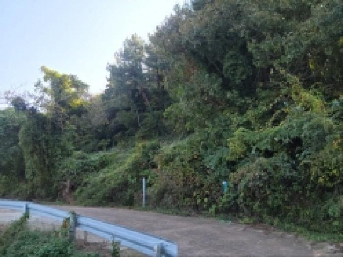 전남 고흥군 도덕면 도로 경매 물건 사진 2 · 2025타경677