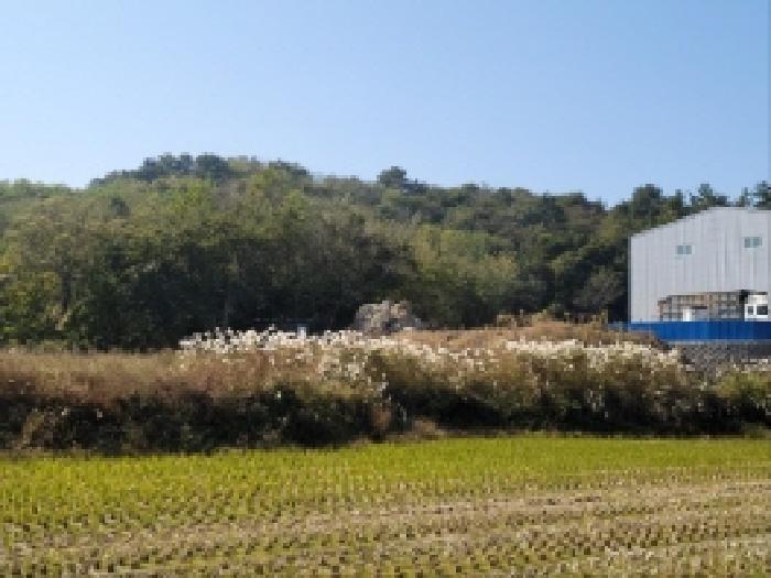 전남 고흥군 도덕면 도로 경매 물건 사진 6 · 2025타경677