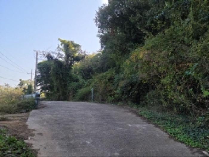 전남 고흥군 도덕면 도로 경매 물건 사진 4 · 2025타경677