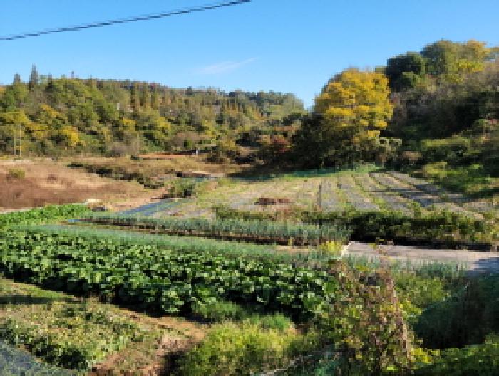 전남 여수시 소라면 전 경매 물건 사진 5 · 2025타경685